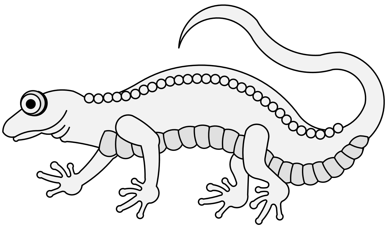 Lizard traceable heraldic art clipart logo
