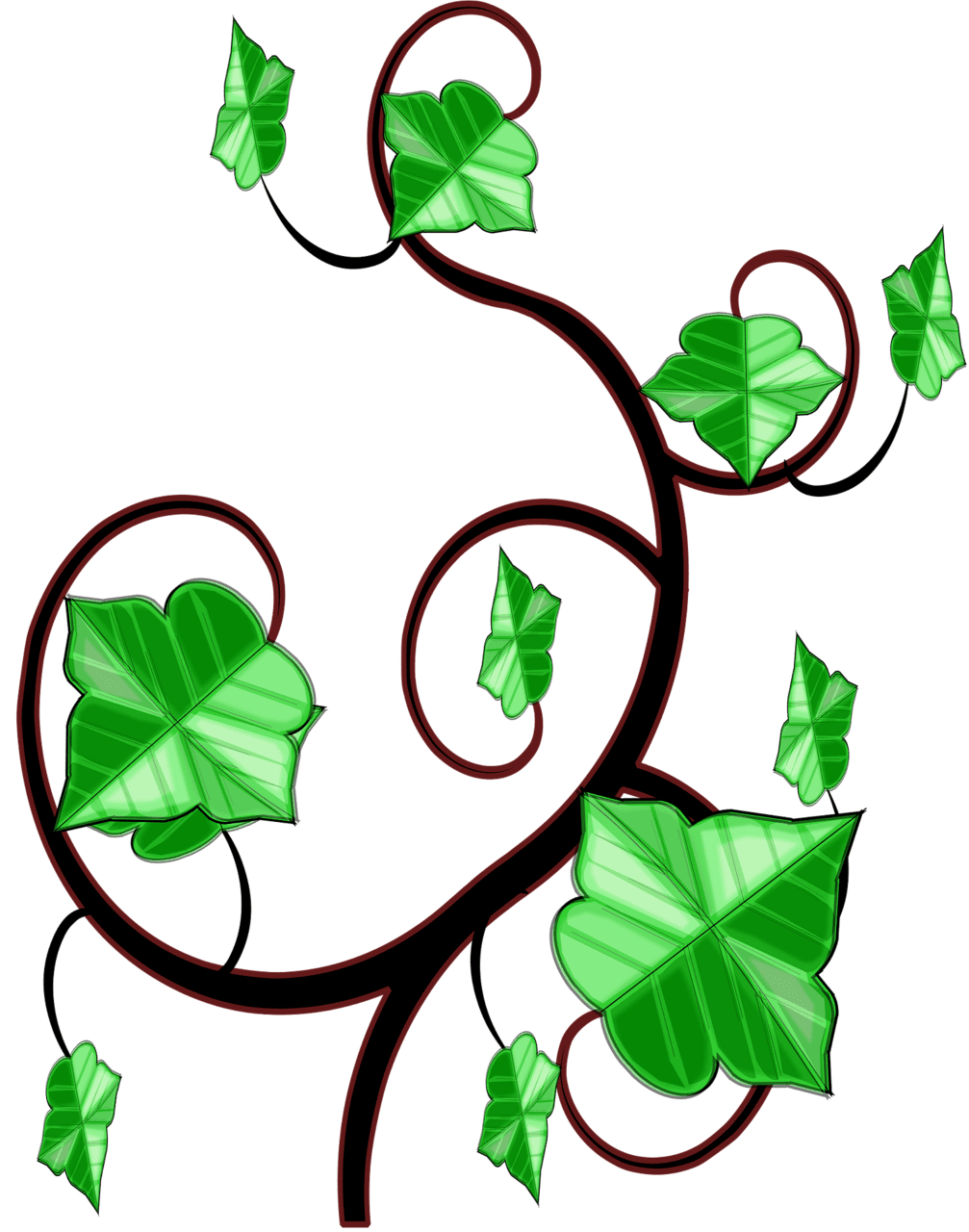 Spring swirl of vine and leaves vector clipart images