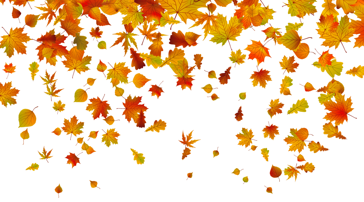 Autumn leaf fall leaves clipart image