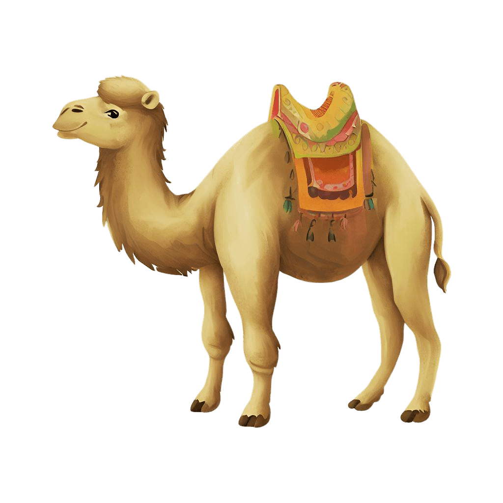 Camel children book animal clipart photo