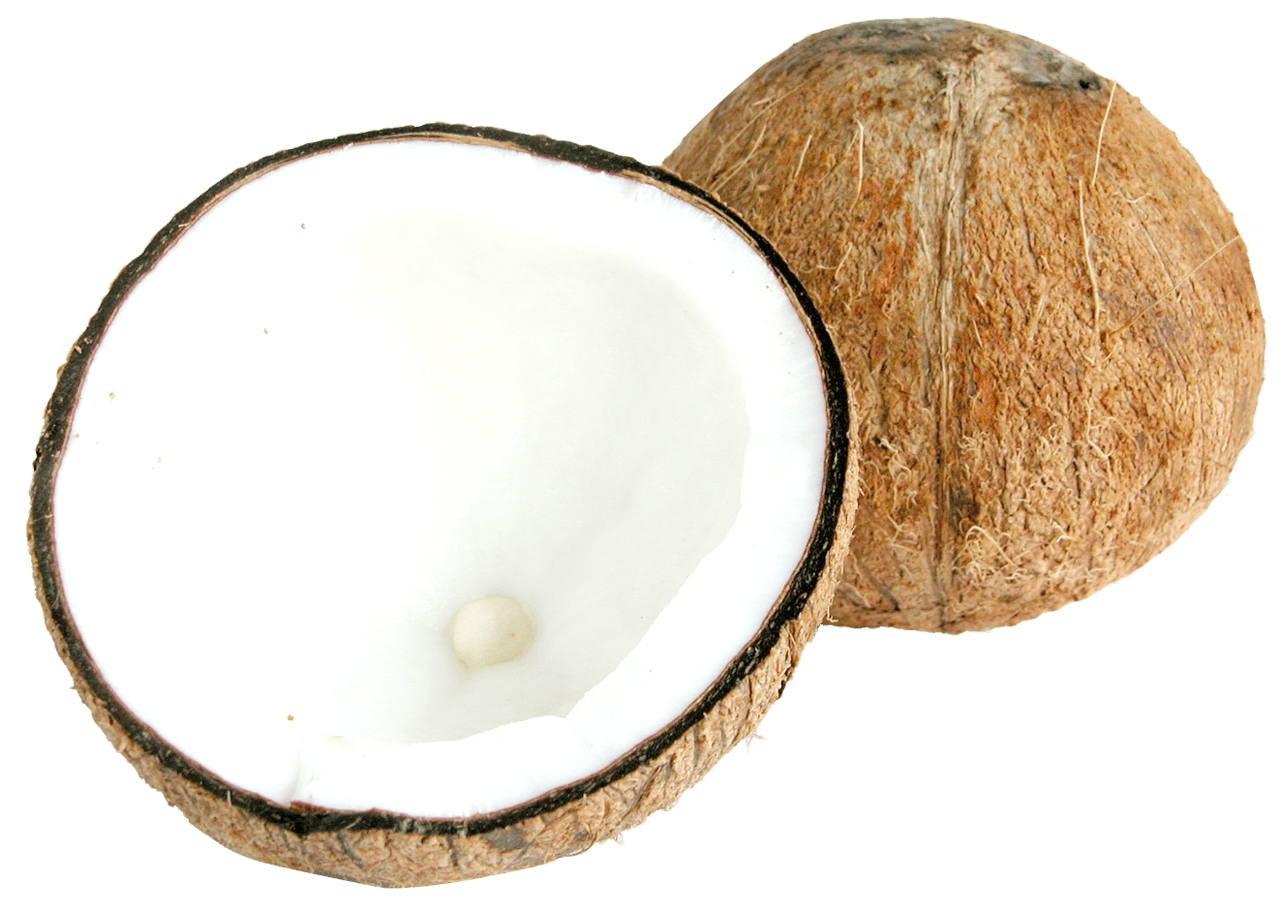 Two half coconut clipart transparent