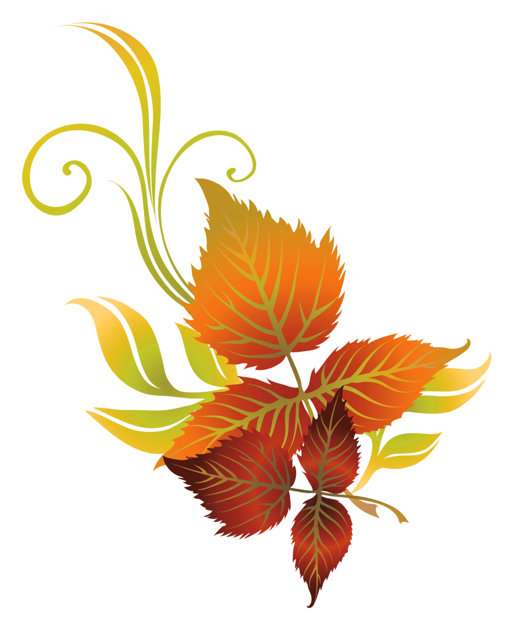 Autumn leaf fall leaves clipart vector