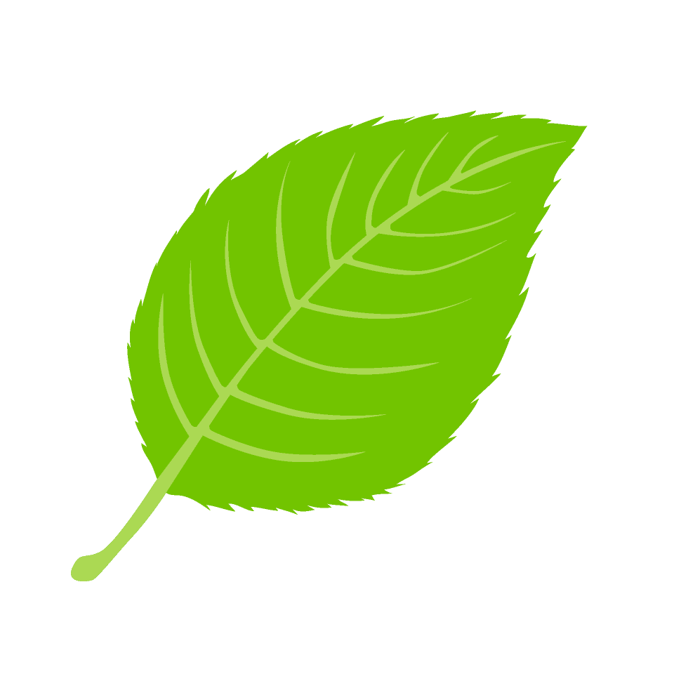 Leaf clipart picture illu toon