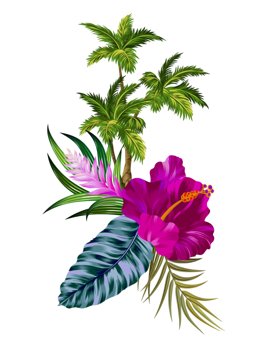 Hawaii pin page clipart free