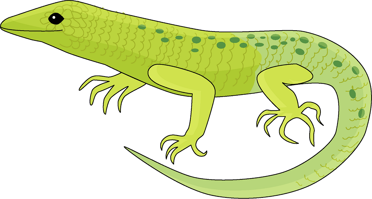 Lizard vector clipart images 5