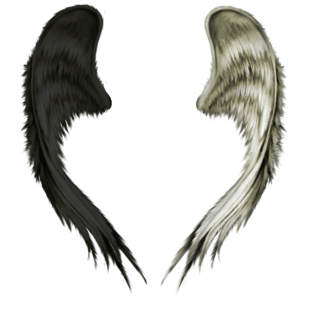 Angel wings clipart logo