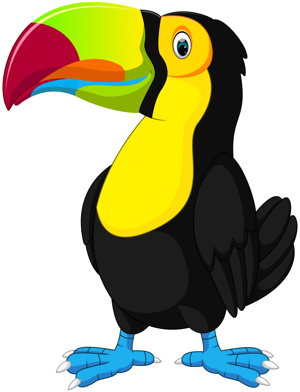 Parrot toucan cartoon clipart image yopriceville high quality images and clipar jungle animal art cartoons