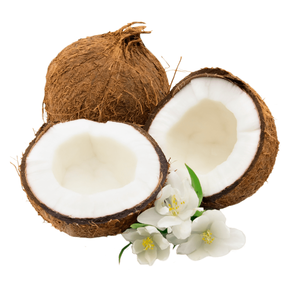 Coconut images hd photo clipart