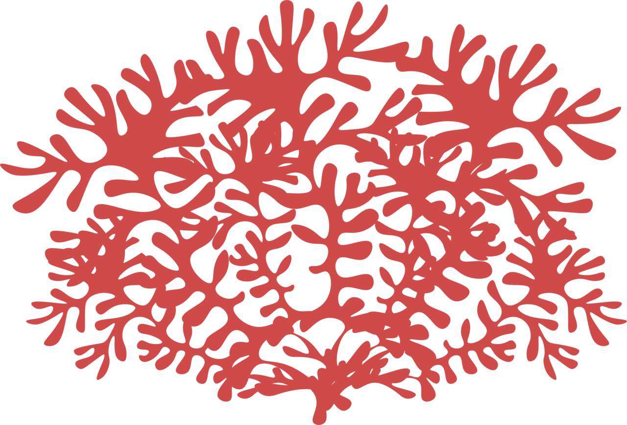 Seaweed alpha coral clipart large size image