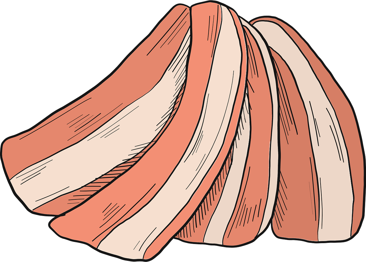 Bacon slices vector clipart images 2