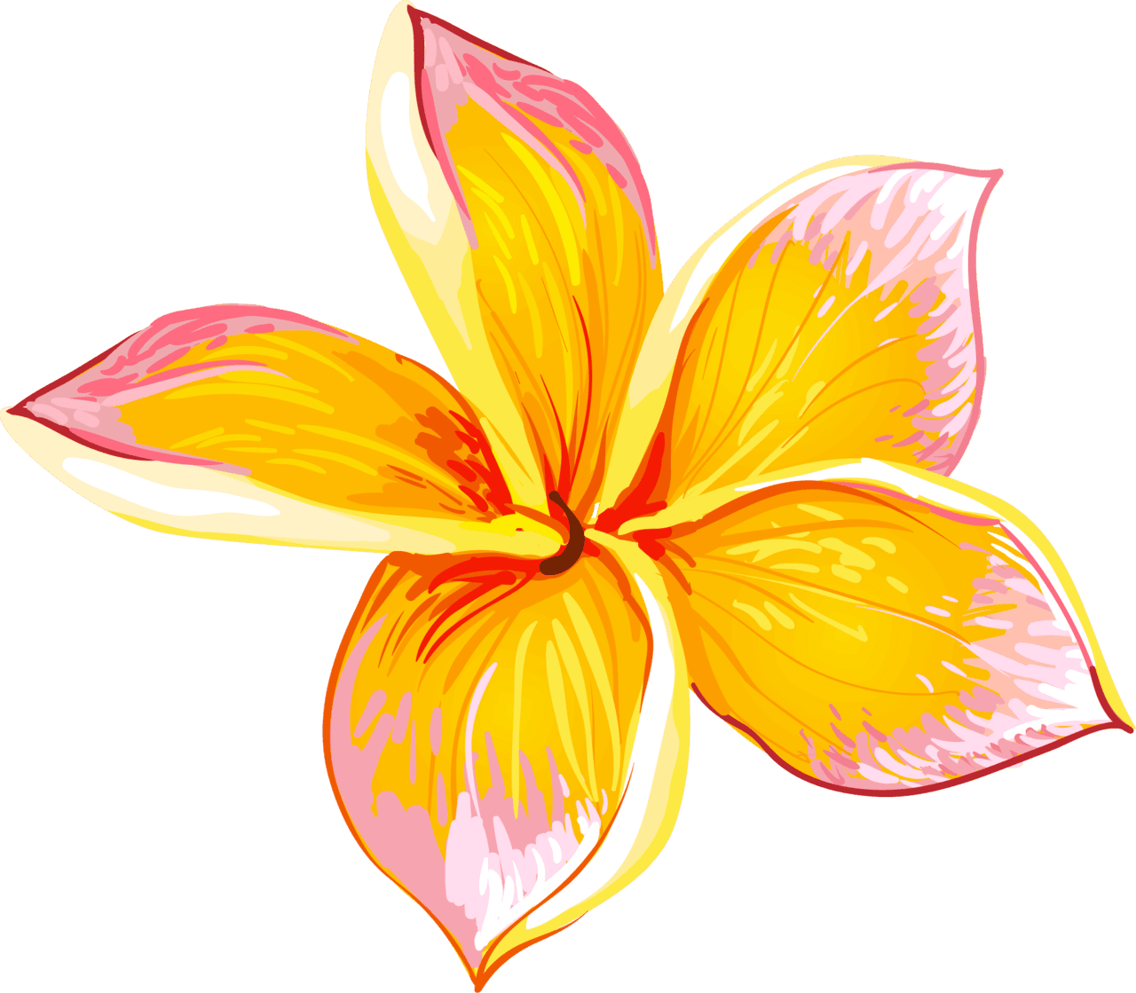 Hawaii tropical hibiscus flower clipart clip art