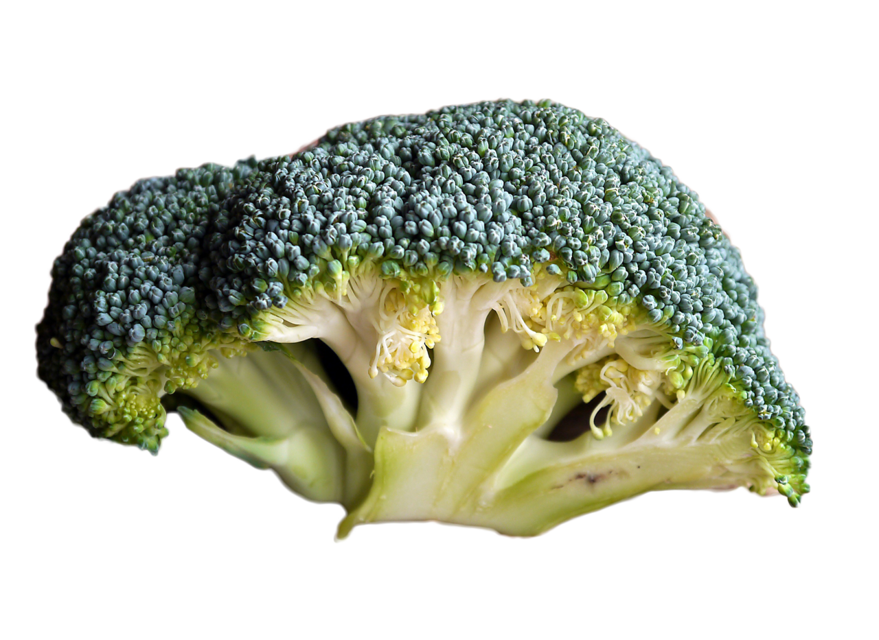 Broccoli image cc library clipart 4