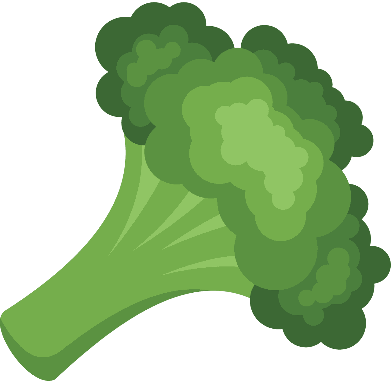 Broccoli floret vector clipart images