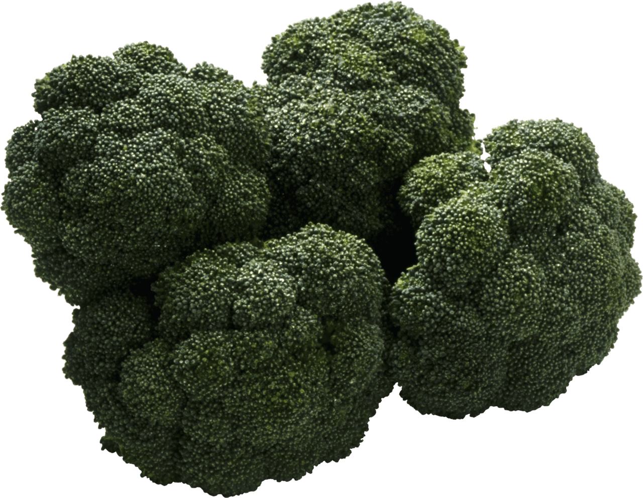 Broccoli images vegetables pictures clipart