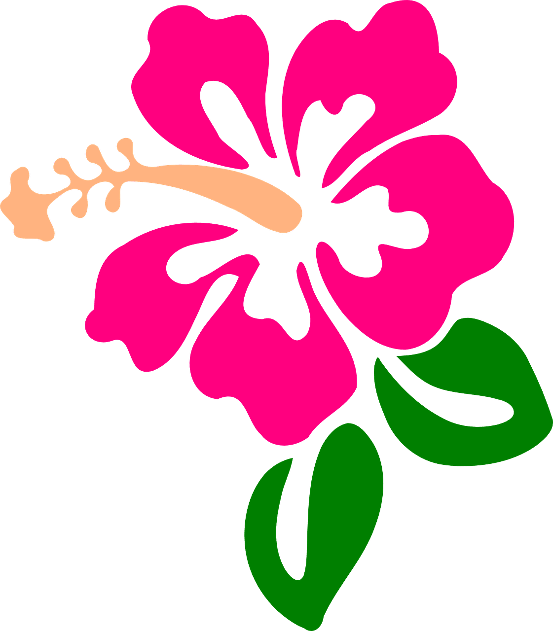 Hawaii hibiscus flower vector graphic clipart