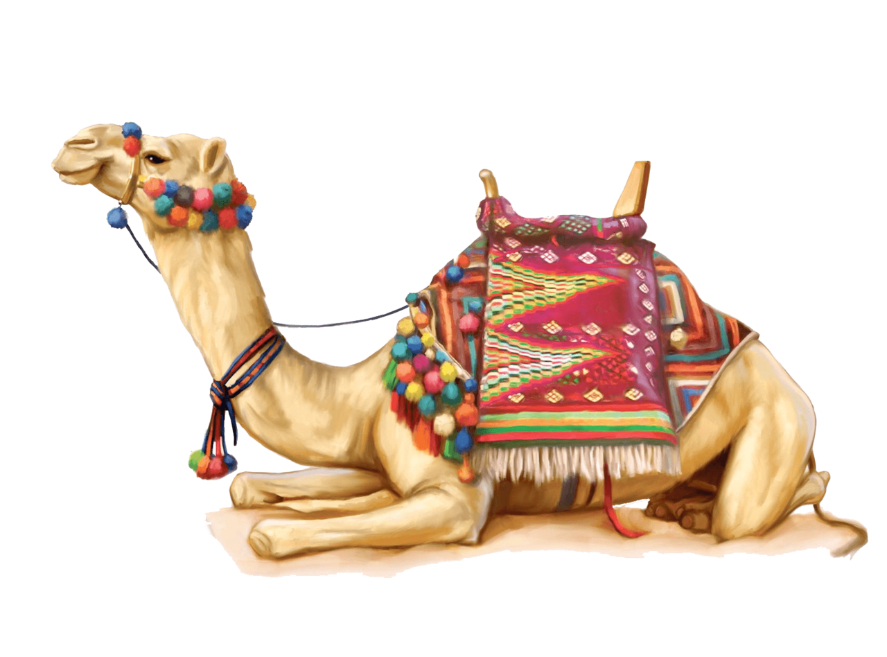 Camel clipart transparent 2