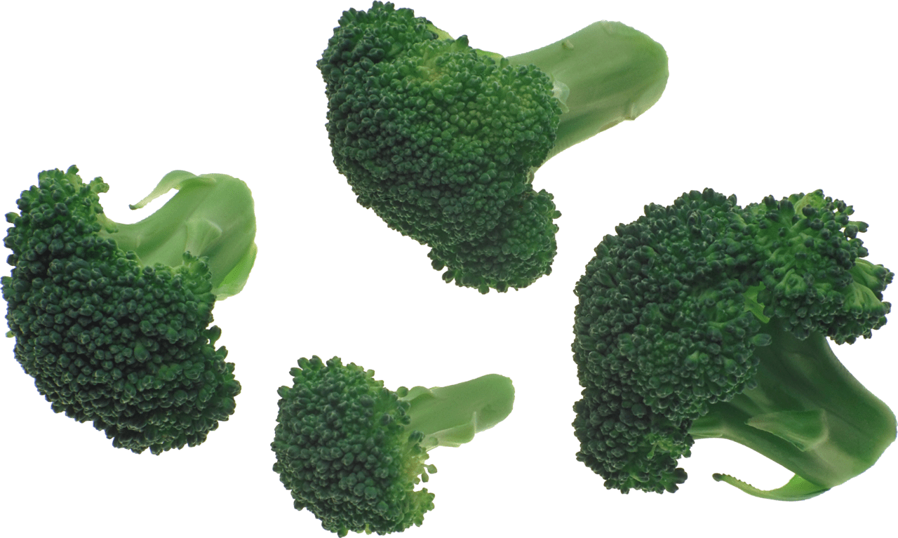 Broccoli image size clipart 7