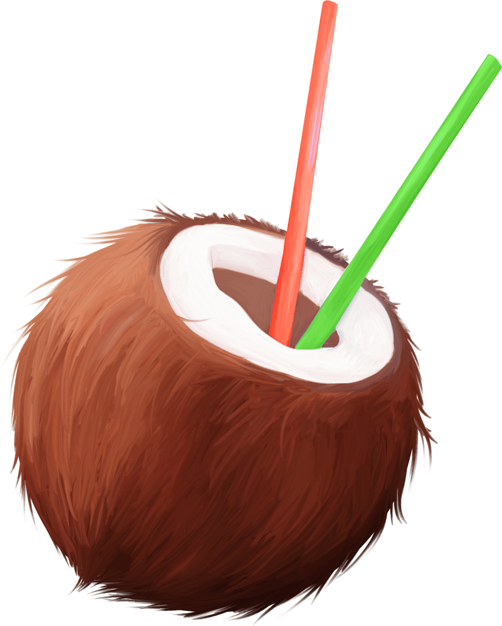 Coconut vector clipart