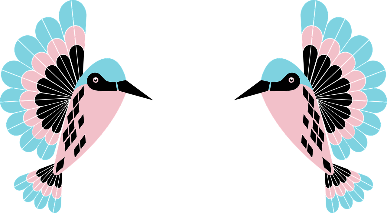 Hummingbird humm gbird birdie birds vector graphic clipart