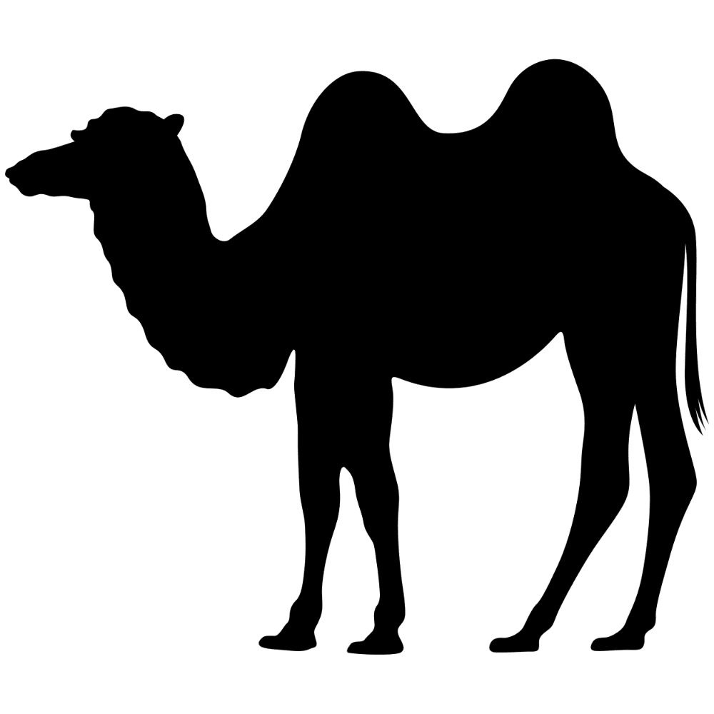 Camel silhouette images hd photo clipart 2