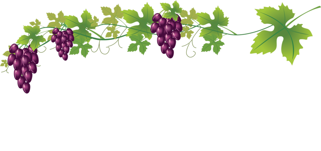 Vine pin page clipart background 2