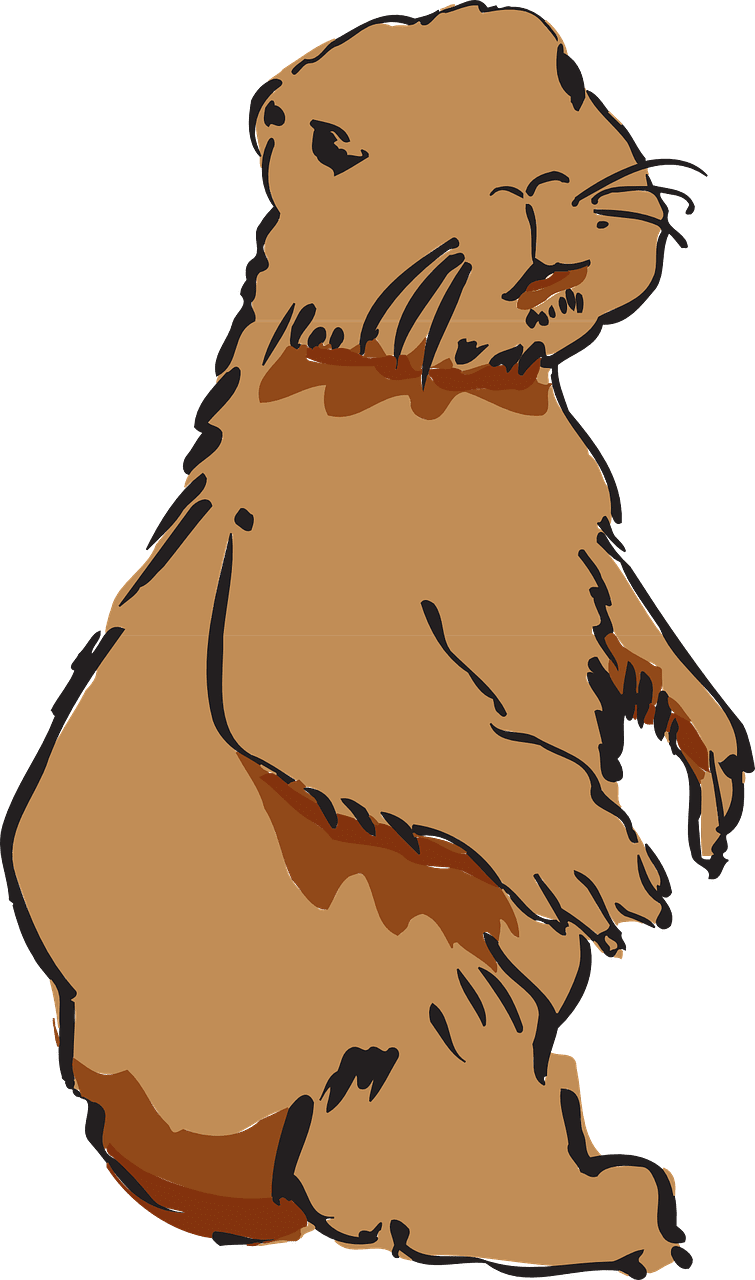 Groundhog gnaw vector art graphics clipart