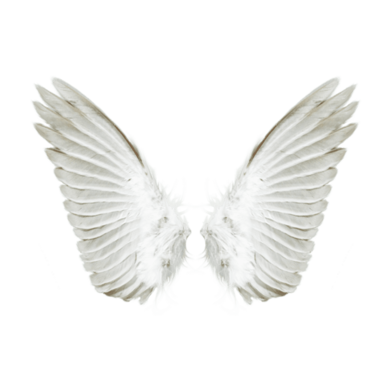 Wings pin page clipart image 4