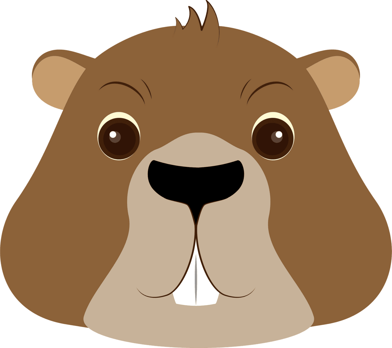 Groundhog face vector clipart images