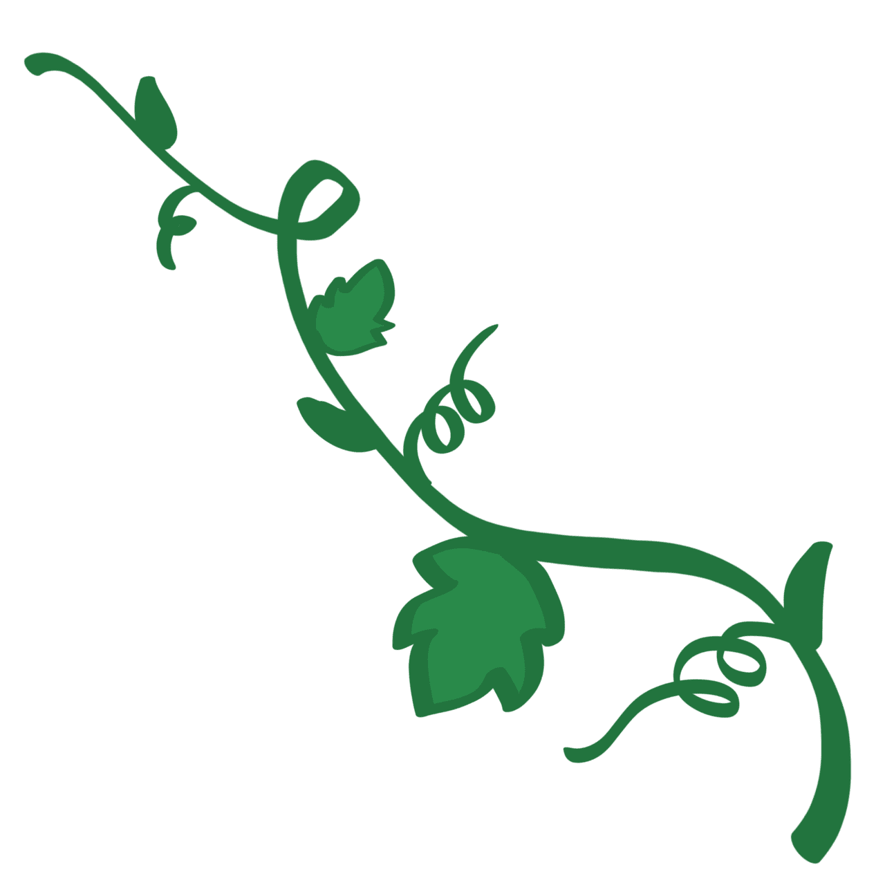 Vine project description csw ud clipart background