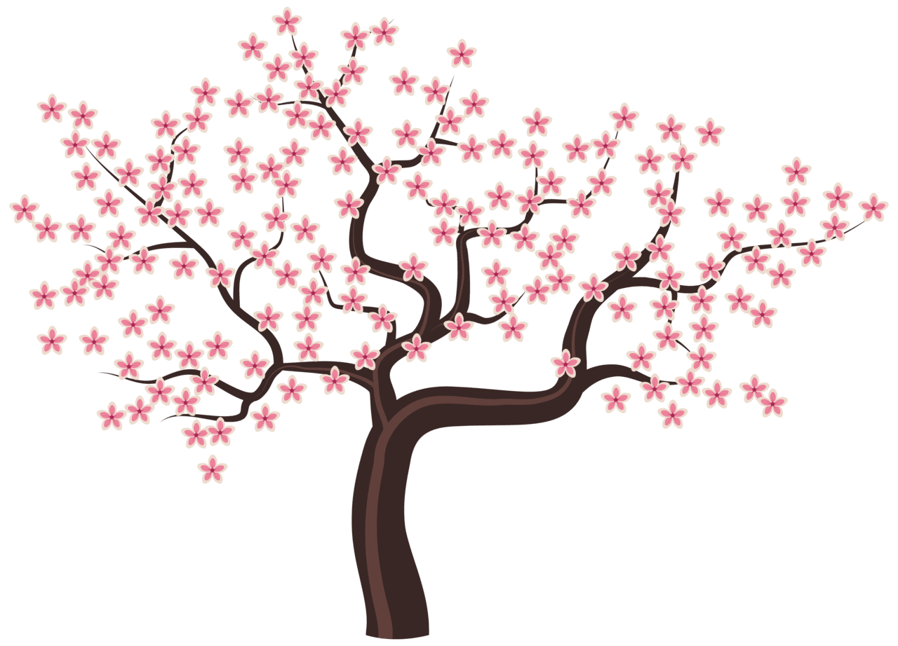 Cherry blossom tree with flowers clipart image