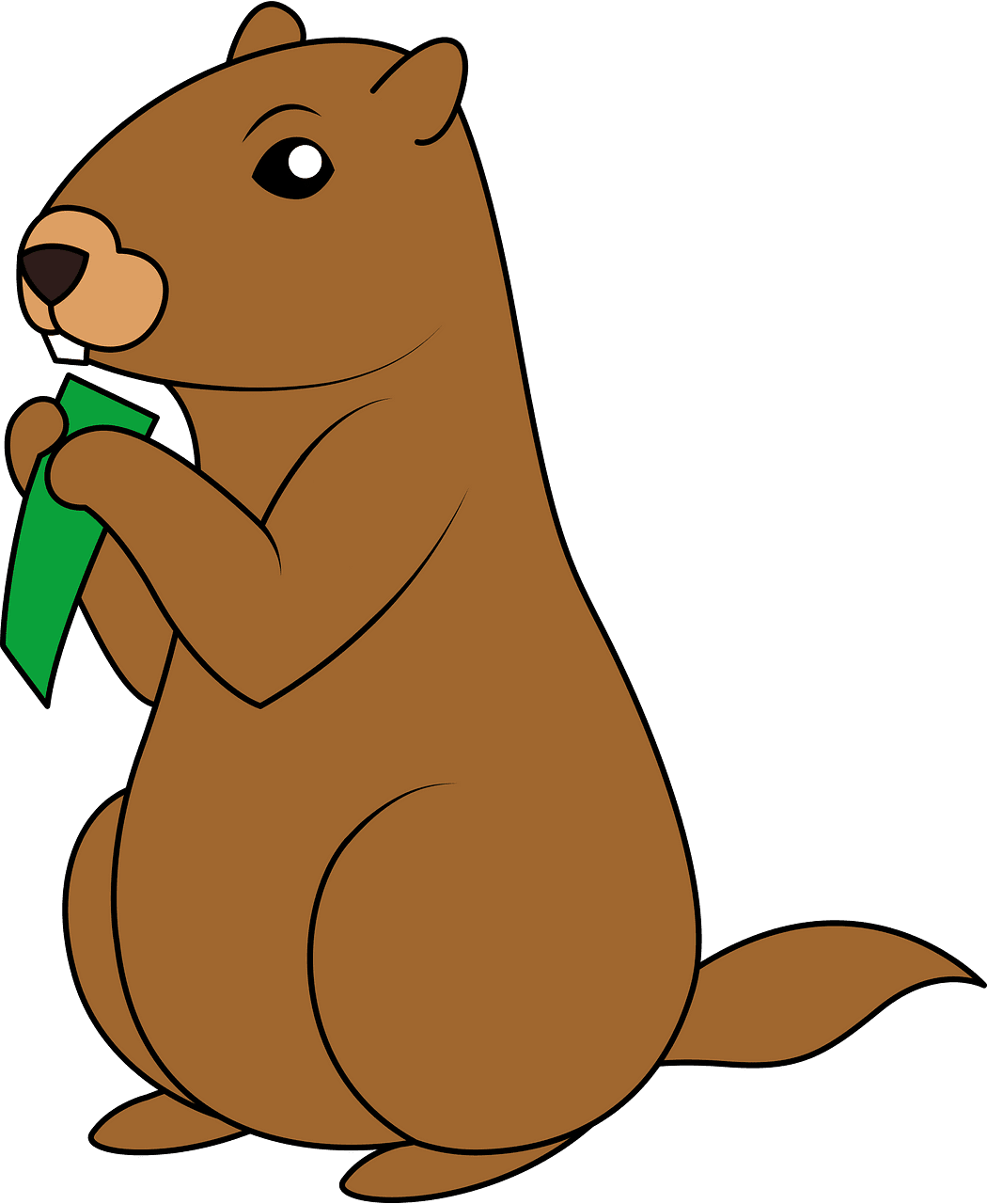 Groundhog vector clipart images 4