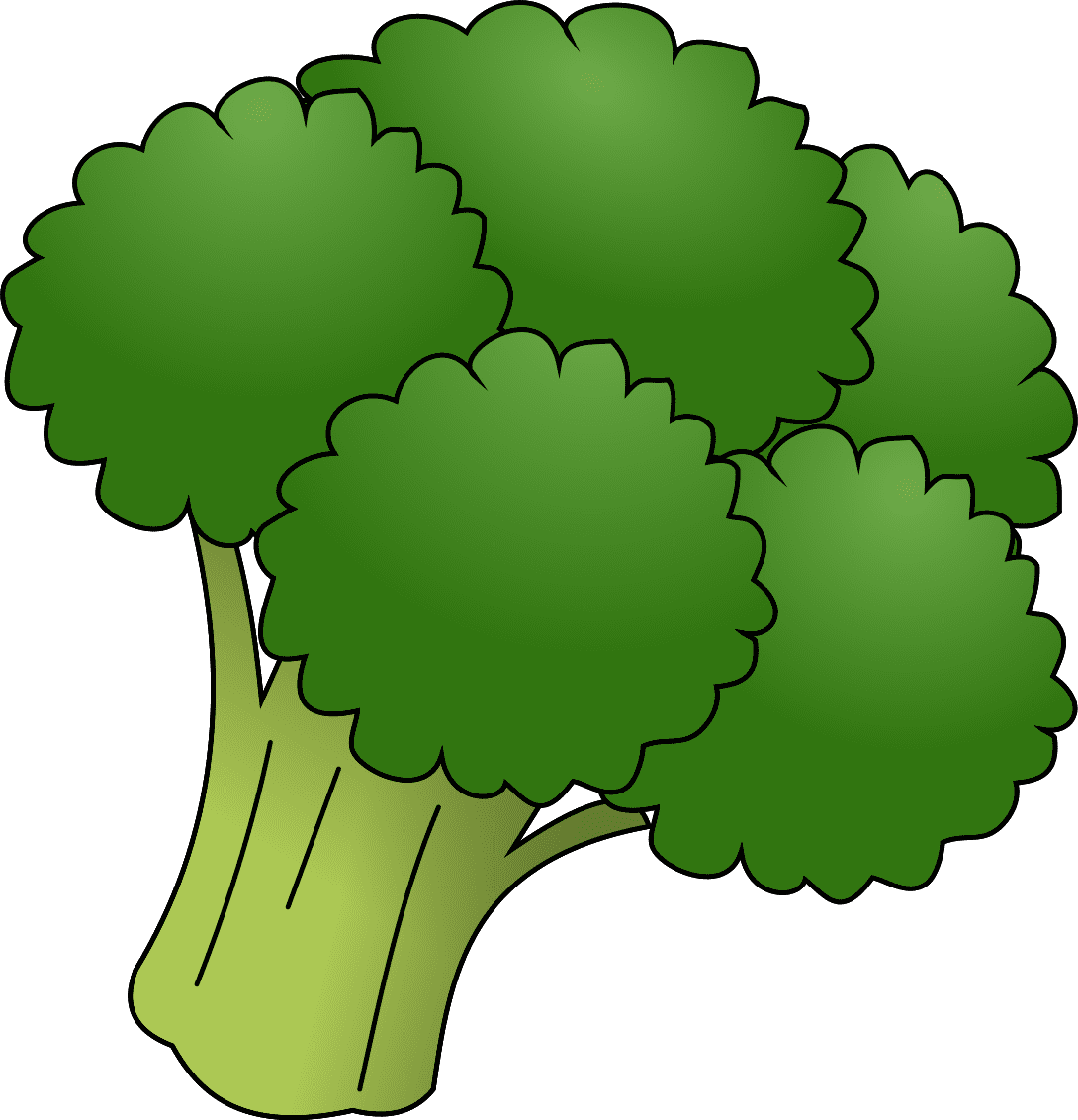 Broccoli image size clipart 3