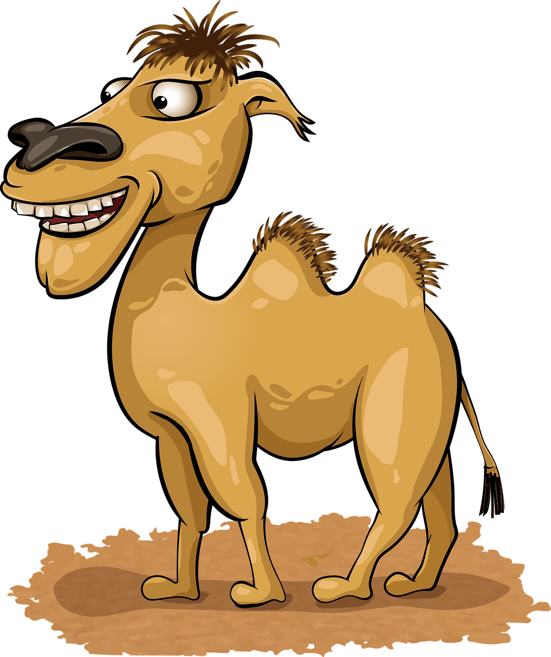 Camel two humped bactrian vector graphic clipart