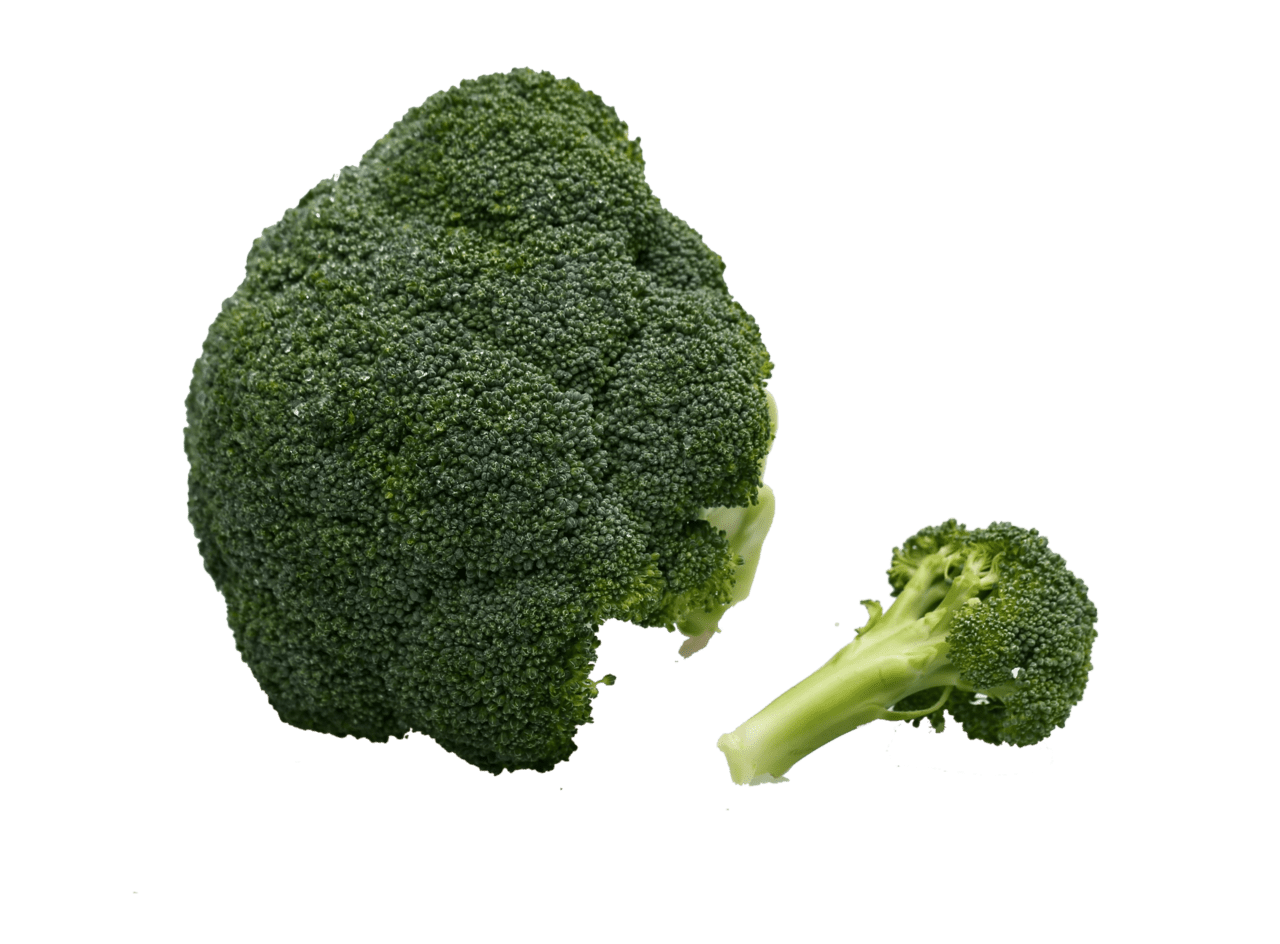 Broccoli vegetable immune system green vegetables clipart picture