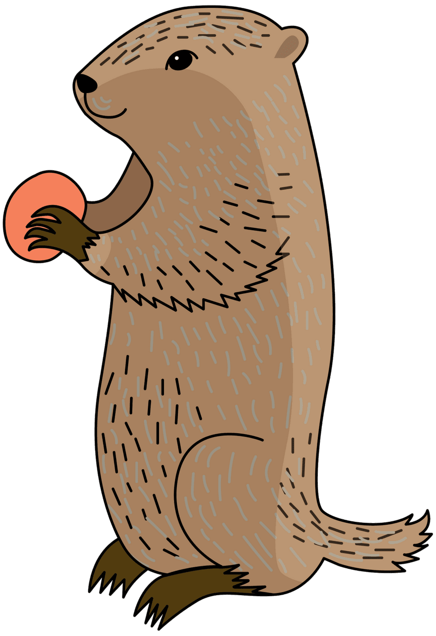 Groundhog vector clipart images