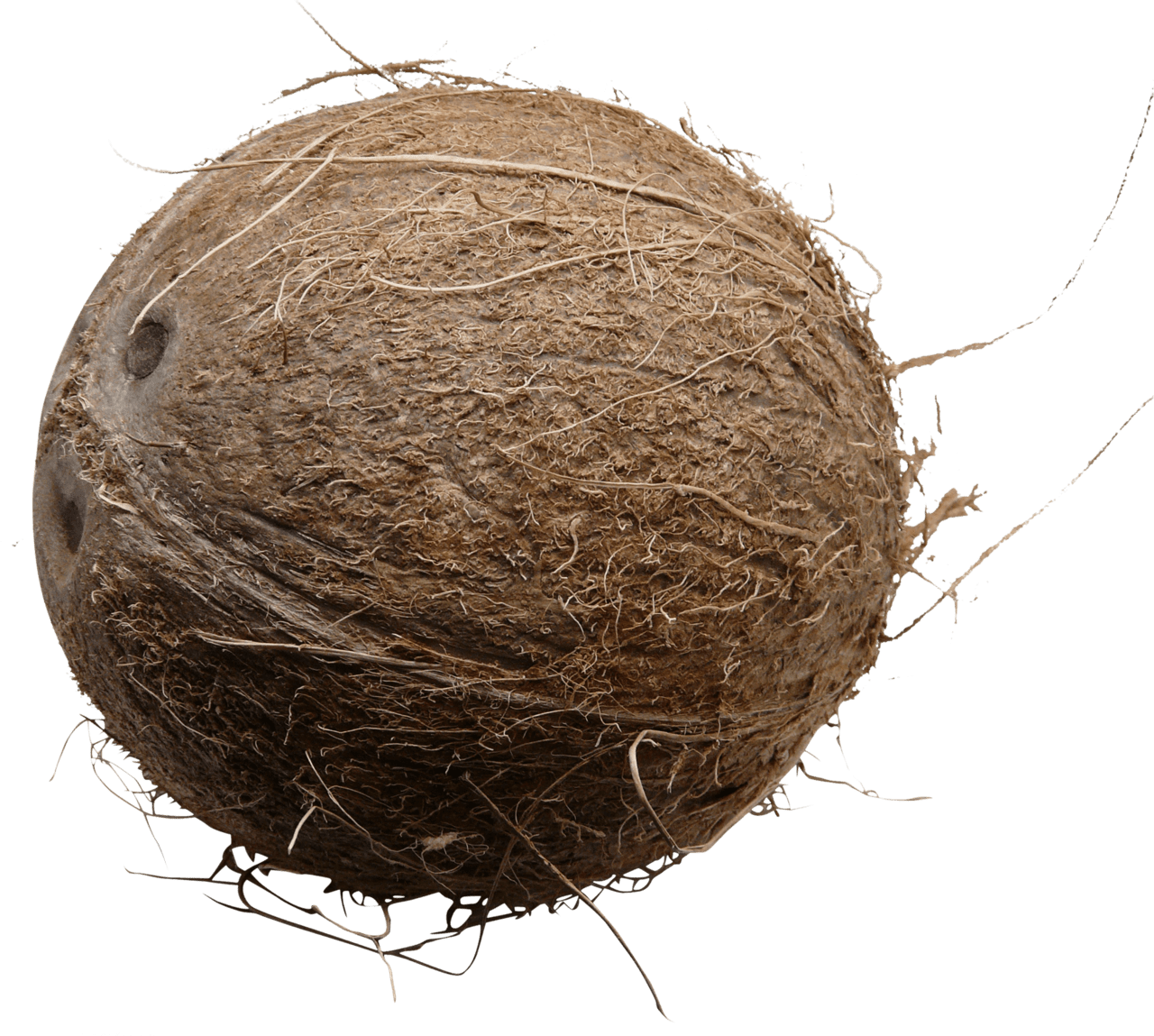 Old fresh coconut clipart transparent
