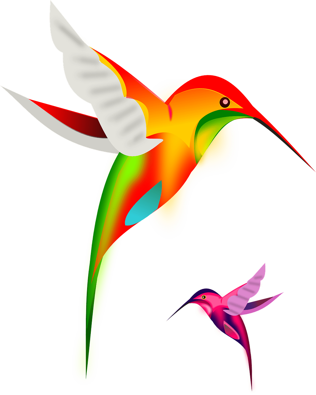 Hummingbird birds mother baby vector graphic clipart