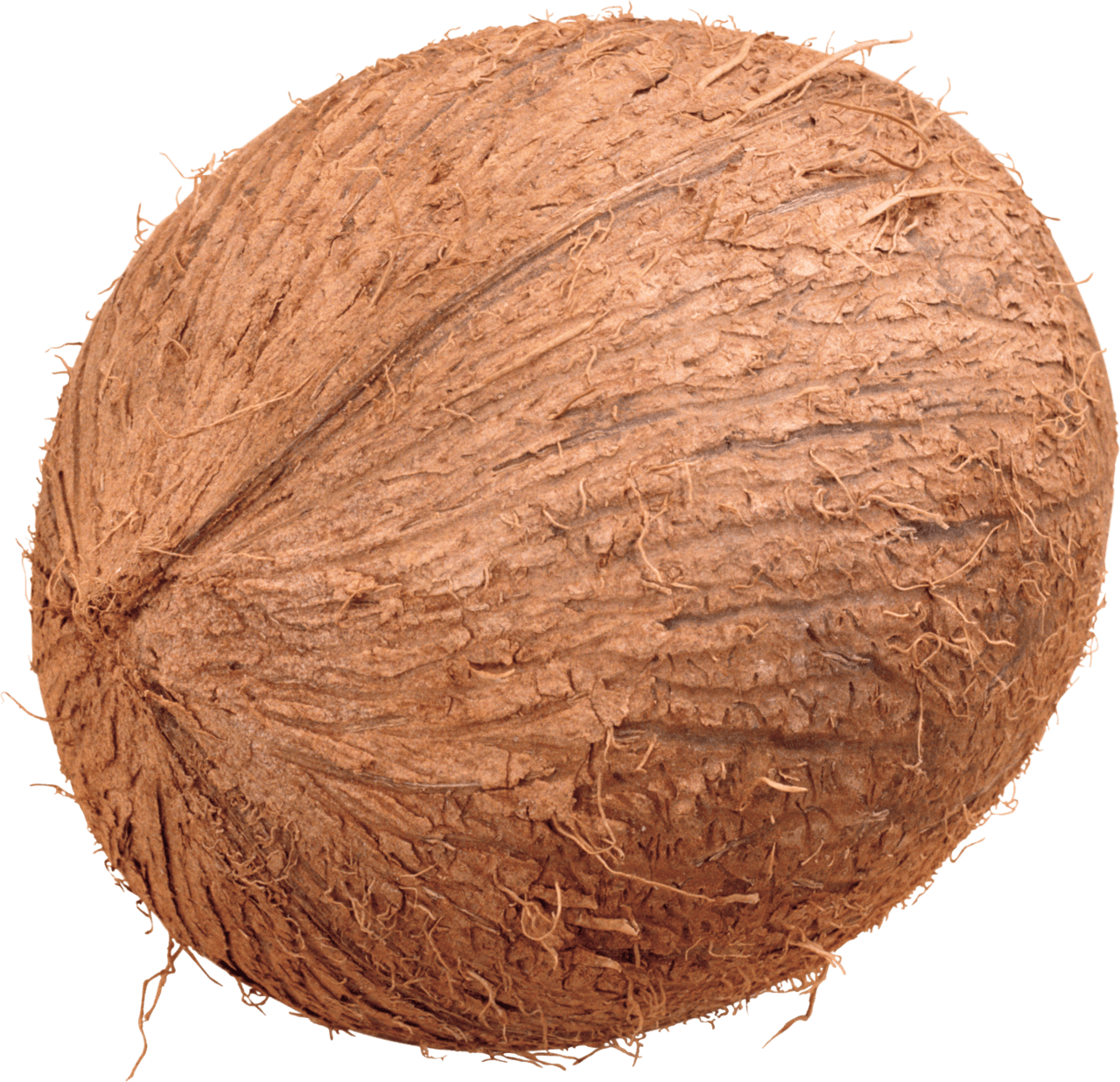 Coconut image with background clipart