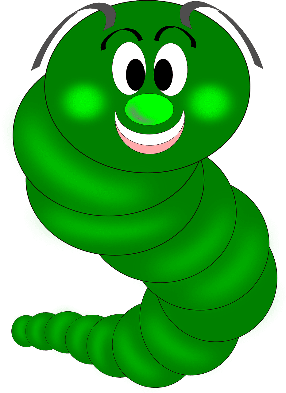 Caterpillar worm eruca larva animal image from clipart
