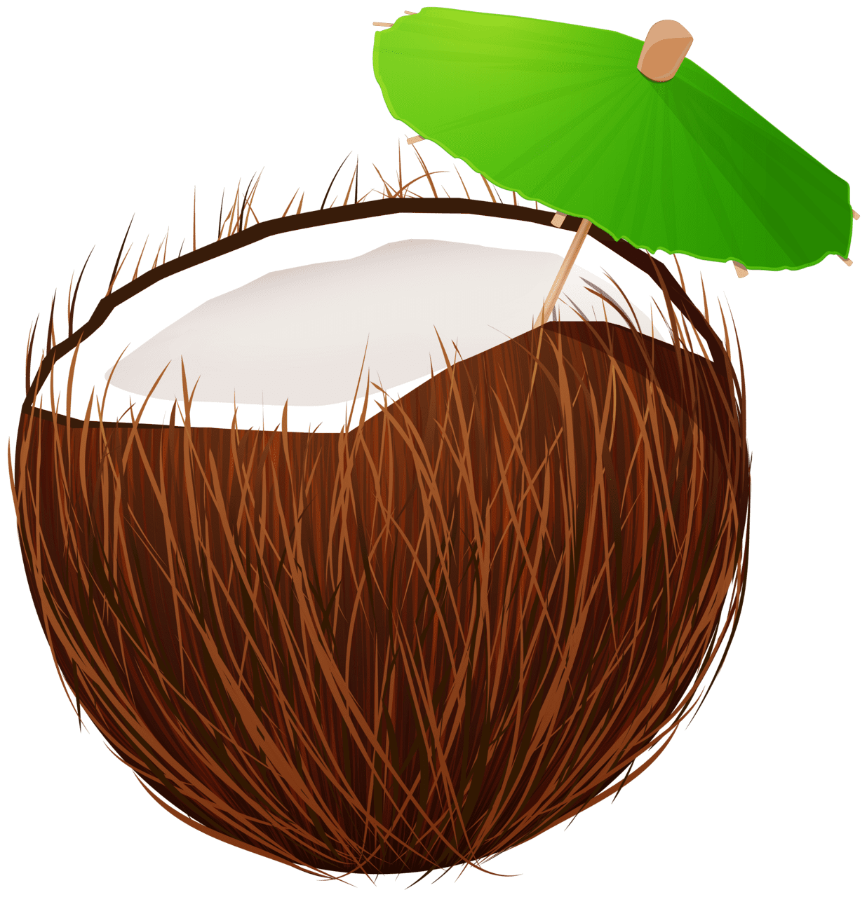 Coconut drink clipart high quality images and