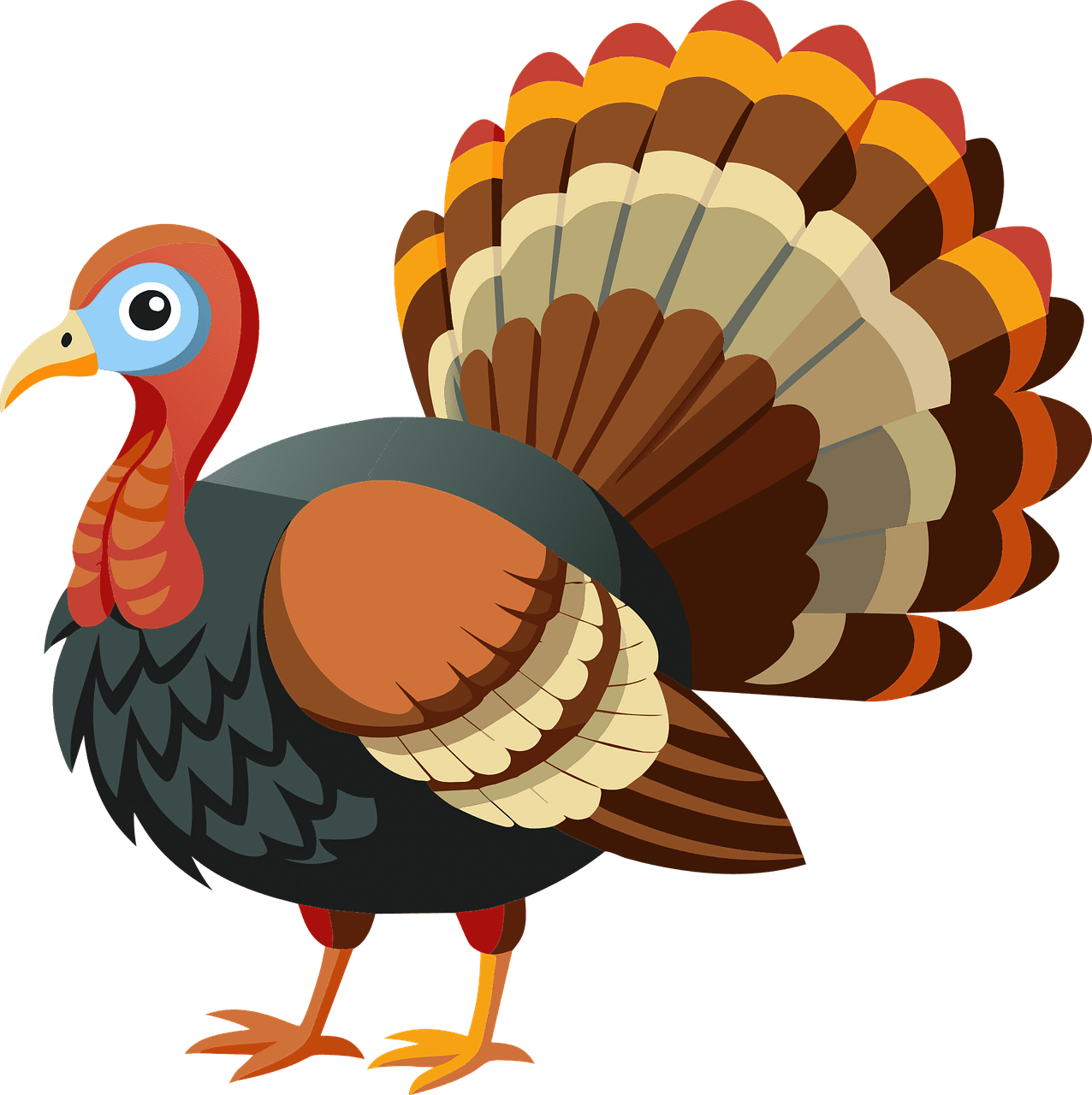 Cute turkey explore day now clipart picture