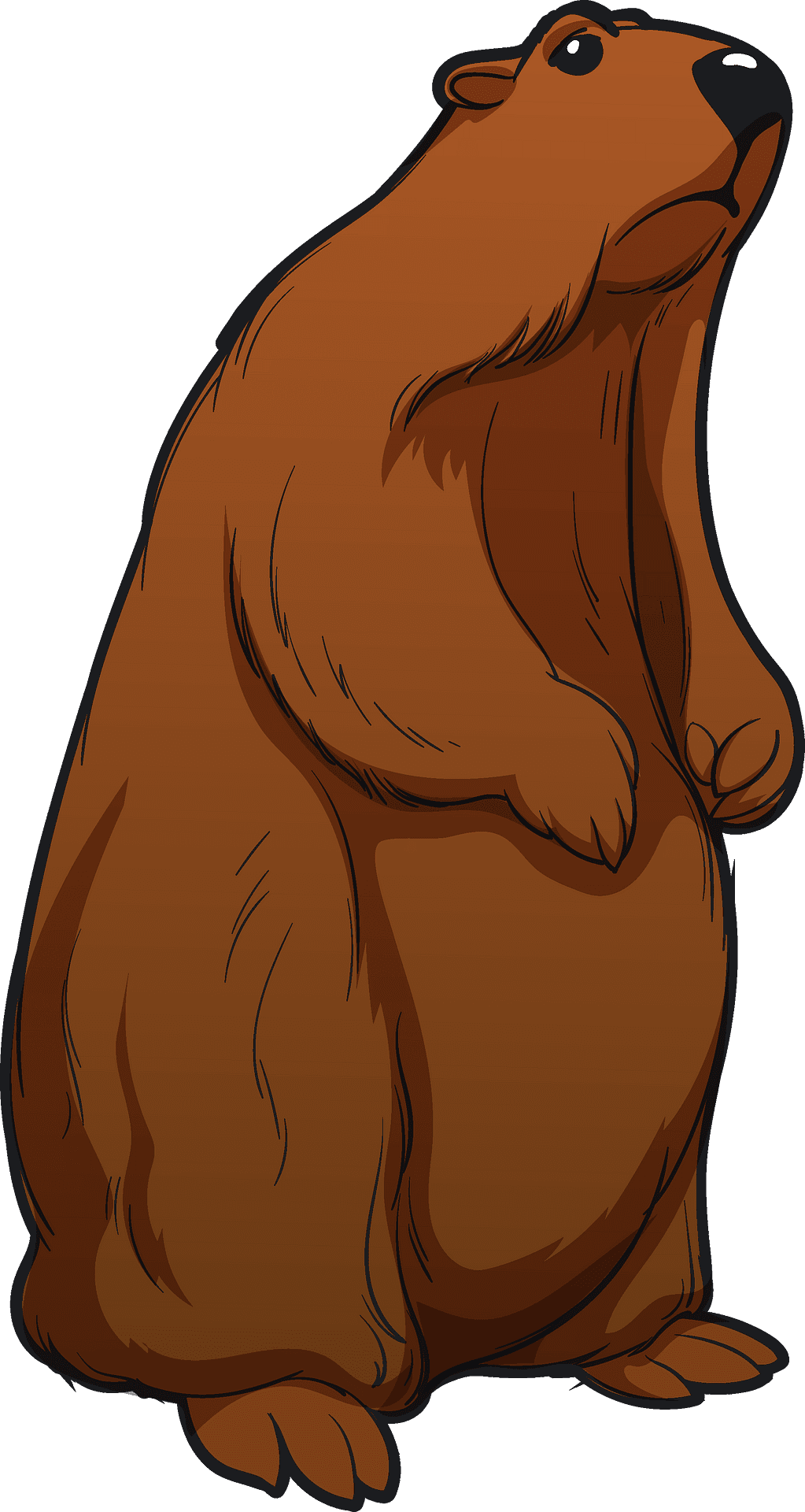 Groundhog vector clipart images 2
