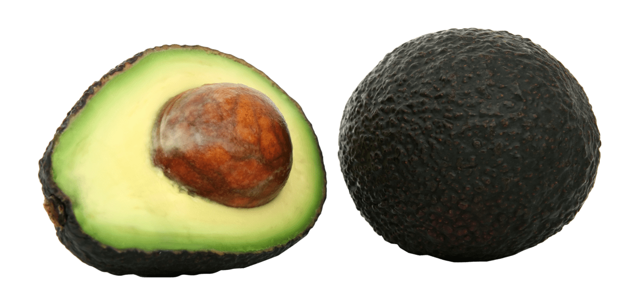 Avocado image visual graphic picture clipart