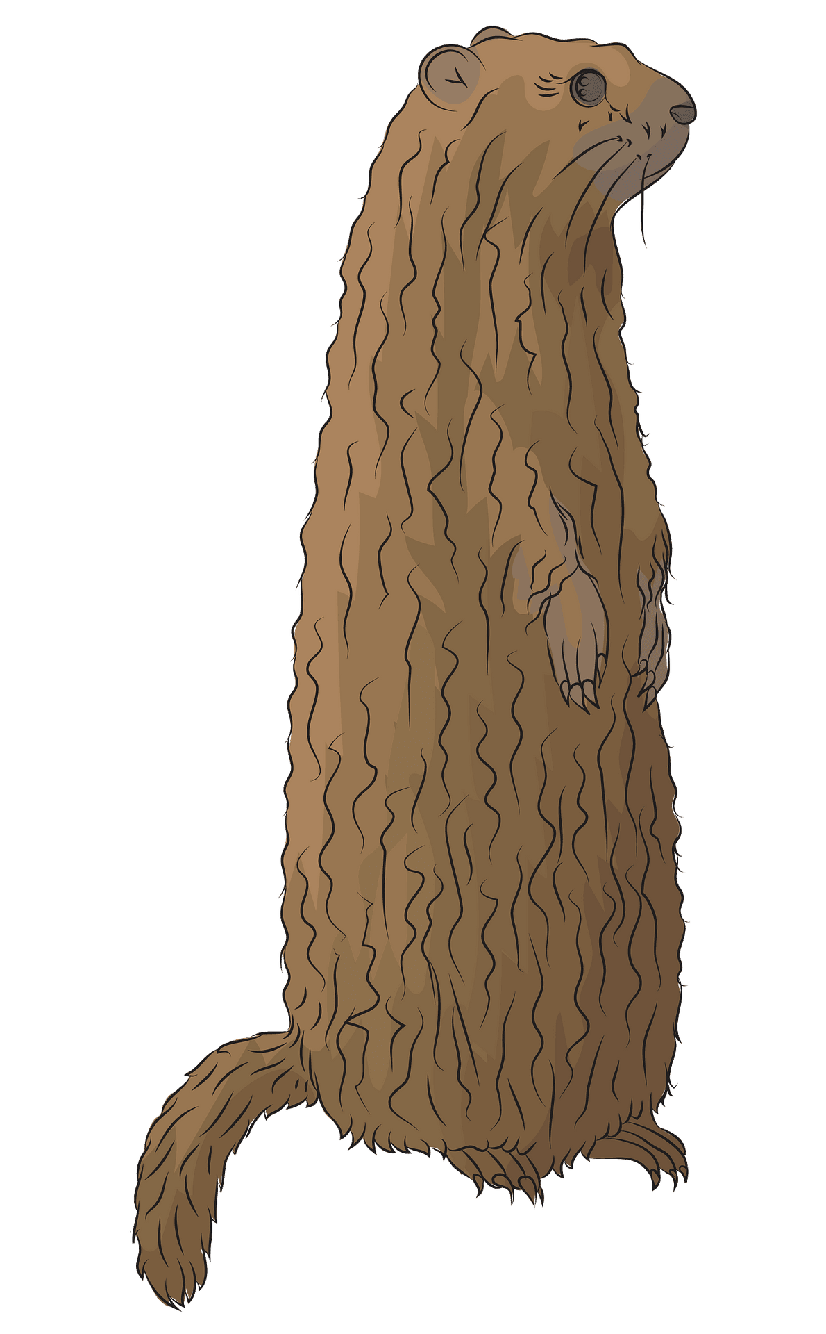Groundhog vector clipart images 5
