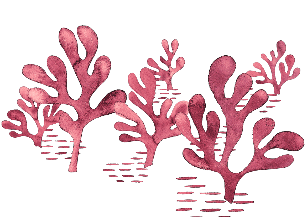 Coral seamless pattern and seaweed clipart clip art