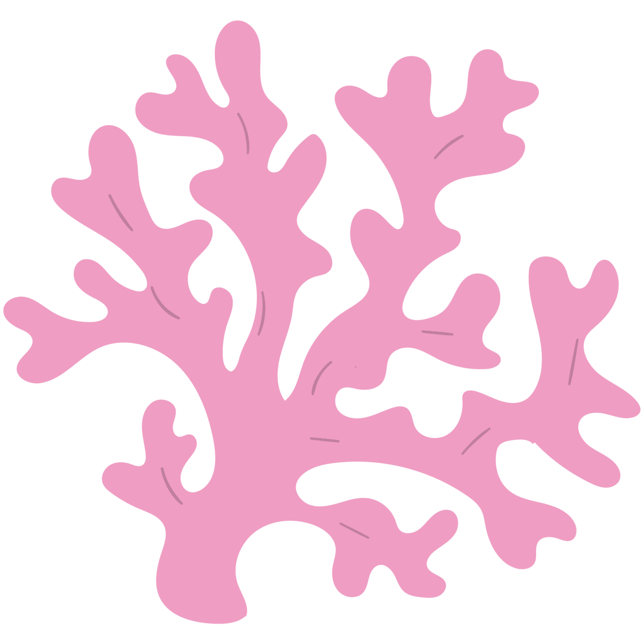Coral page clipart photo