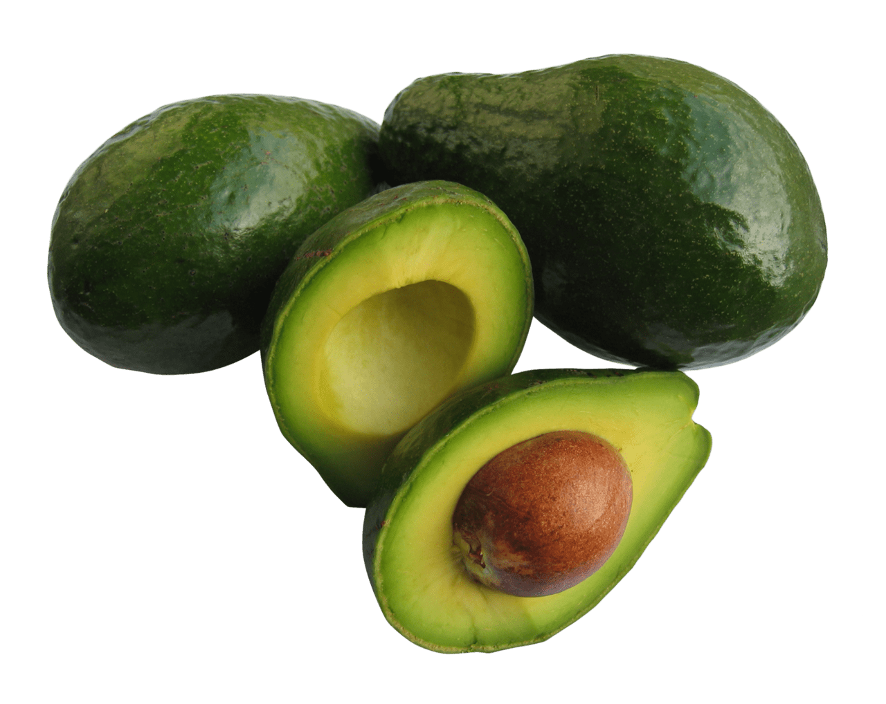 Avocado vector clipart photo