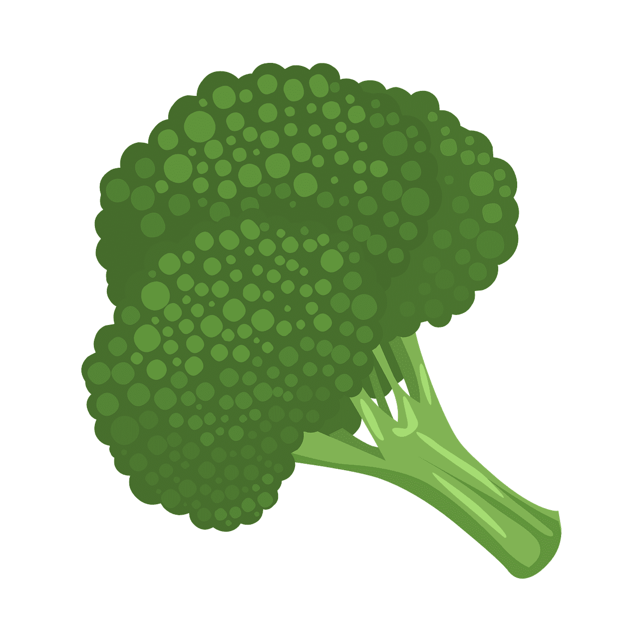 Broccoli vegetable green vector graphic clipart