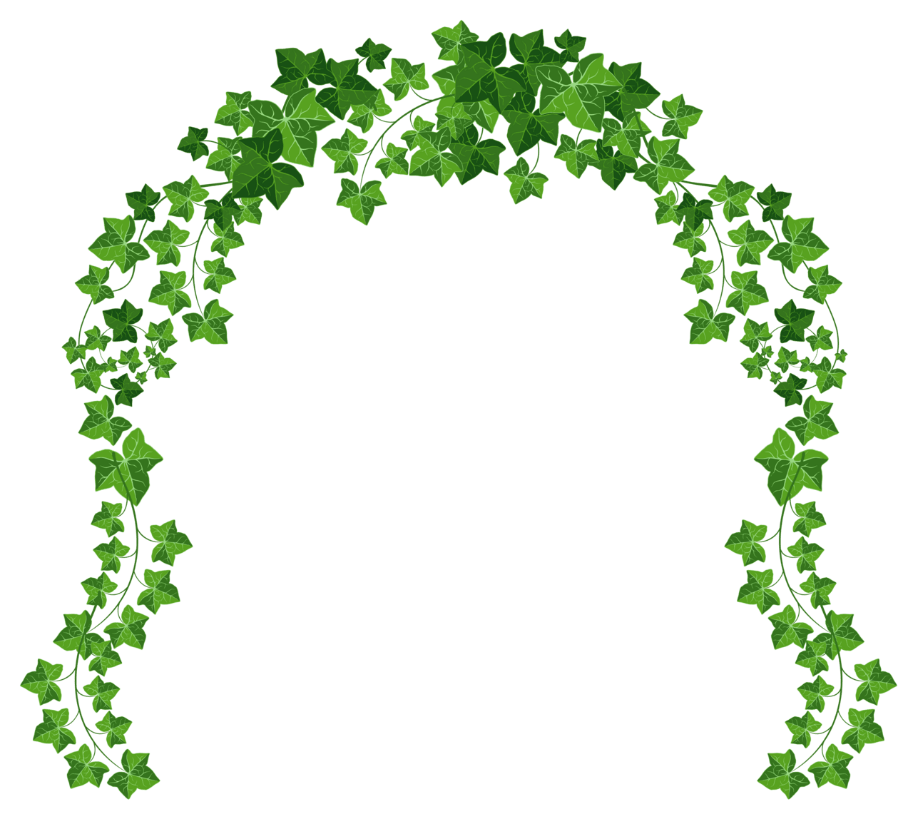 Vine images clipart