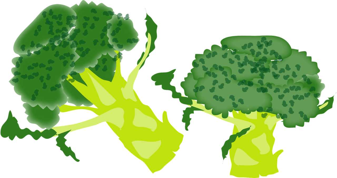 Broccoli vector clipart images 6